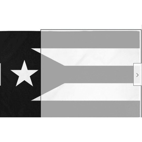 Resistance Flag of Puerto Rico 3x5 ft Black & White Protest Puerto Rican Boriqua