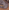 Taupe/Amaretto Full Grain Leather, variant on Men's Sperry Top-Sider Mako 2-Eye Canoe Moc