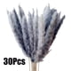 thumbnail image 1 of 2x 15 Uds. de Hierba Seca Artificial para Jarrón, Ramo de Arreglos Florales, Flores de Caña, para Boda, de Decoración para Sala de Est perfecl hierba de pampa seca, 1 of 8