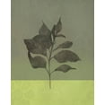 thumbnail image 2 of JMB Designs 12x14 White Modern Wood Framed Museum Art Print Titled - Green Leaves, 2 of 4
