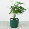 thumbnail image 2 of MesaSe Plants Basket Durable Wear-Resistant Practical Green Plant Flowerpot, 2 of 4
