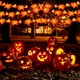 thumbnail image 4 of Decoración de Halloween Adorno de hoja de arce Luces de Halloween Compre 2 y obtenga 3, 4 of 4