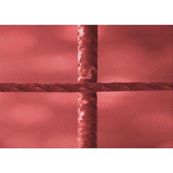 Ahgly Company Machine Washable Indoor Rectangle Transitional Red Area Rugs, 5' x 8'