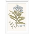 thumbnail image 2 of Art.com Bashful Blue Florals III Art Print by John Miller, White Frame Wall Art, 32" x 44", 2 of 5