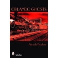 thumbnail image 2 of Orlando Ghosts: Rouse Road and Other Central Florida Haunts, 2 of 3