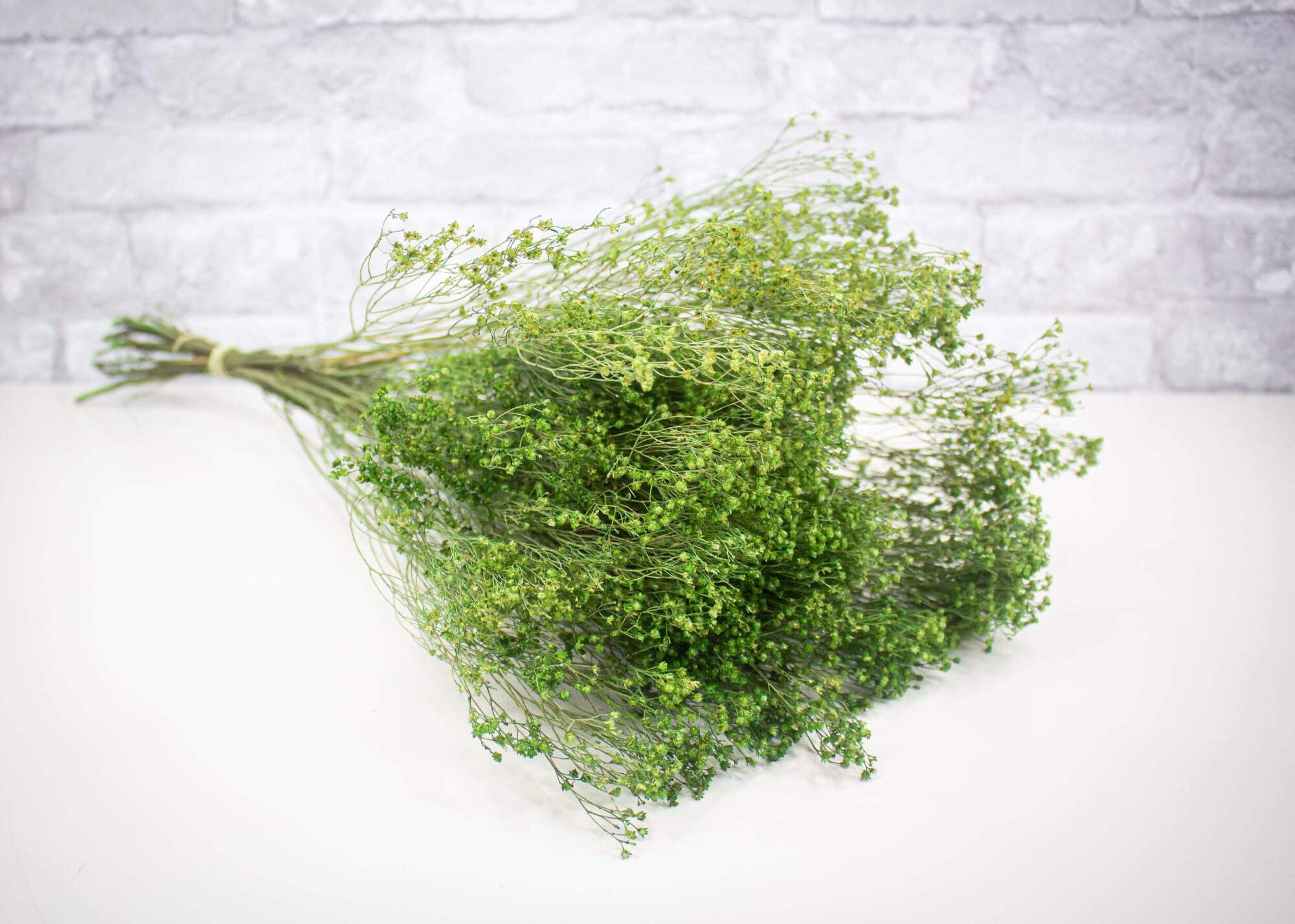 Raw Sola Wood Flowers Centerpiece/Vase/Pot/Bouquet Fillers Broom