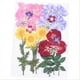 thumbnail image 2 of Pressed Flower Dried Nail Petals Art Craft Resin Crafts Plants Artificial Flower Stickers Decals, 2 of 5