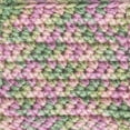 thumbnail image 3 of Caron Acrylic Simply Soft Paints Yarn (141 g/5 oz), Rose Garden, 3 of 5