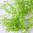 thumbnail image 3 of 10 piezas de plantas de hiedra artificial NQ para decoración, 3 of 5