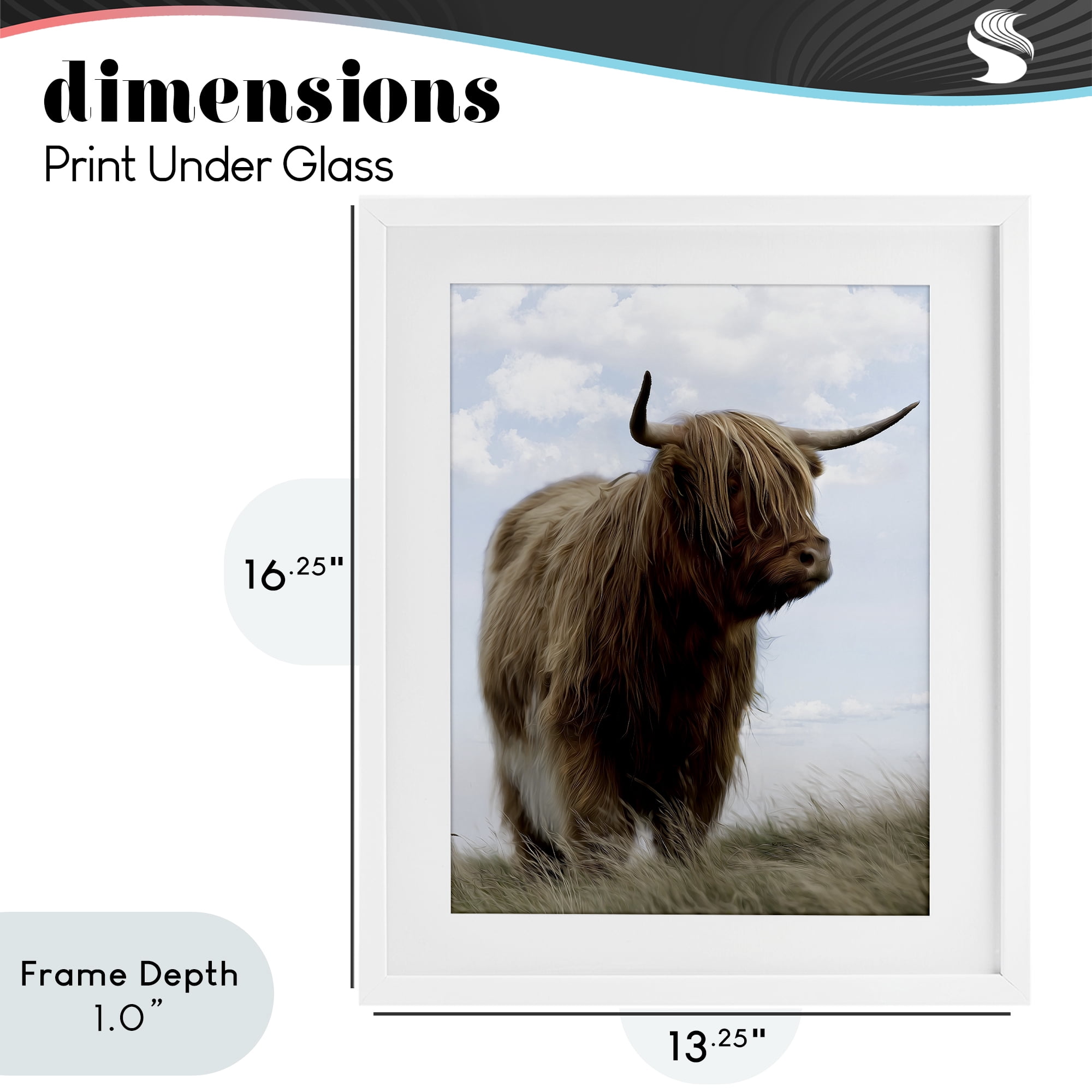 Stupell Industries Restful Look Highland Cattle White Framed Print Under Glass, design by Marcus Prime