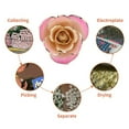 thumbnail image 4 of Gold Rose, Garantie de Qualité Facile à Utiliser pour la Maison, 4 of 8