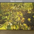 thumbnail image 6 of Ambesonne Forest Place Mats Set of 4, Sun Rays Woods Foliage, Standard Size, Green Yellow Brown, 6 of 6