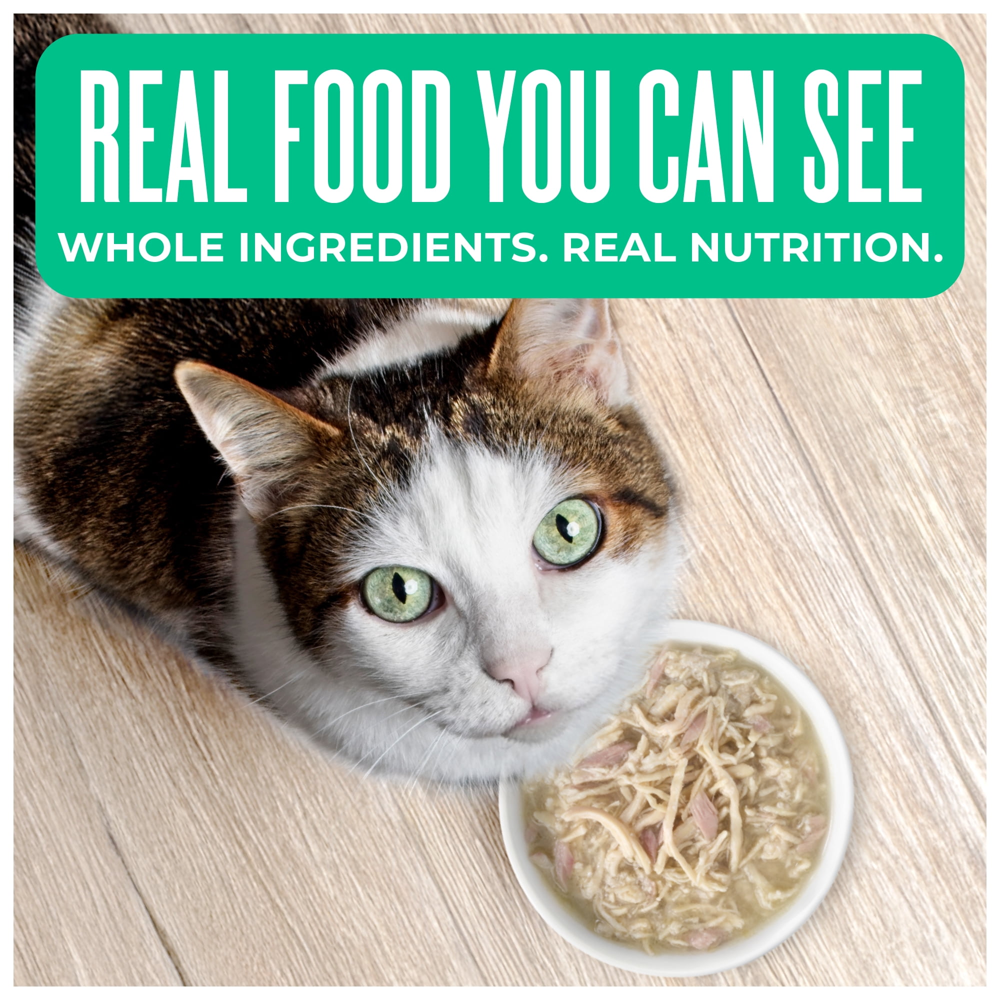 Tiki Cat Born Carnivore Wet Cat Food, Chicken Breast & Tuna Recipe in Broth, 2.4 oz. Can