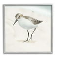 thumbnail image 4 of Stupell Industries Stepping Sandpiper Bird Ocean Shoreline Beach Scene Graphic Art Gray Framed Art Print Wall Art, Design by Lucca Sheppard, 4 of 5