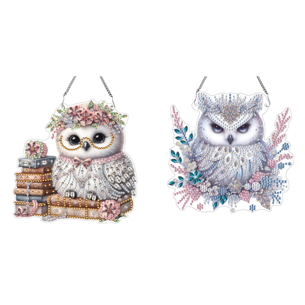 Búho Acrílico Doble Cara en Libro Artístico Diamante Artesanal para Ventana Pared
