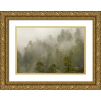Paulson, Don 24x17 Gold Ornate Wood Framed with Double Matting Museum Art Print Titled - CA, Redwood Creek Overlook Fog covers the forest