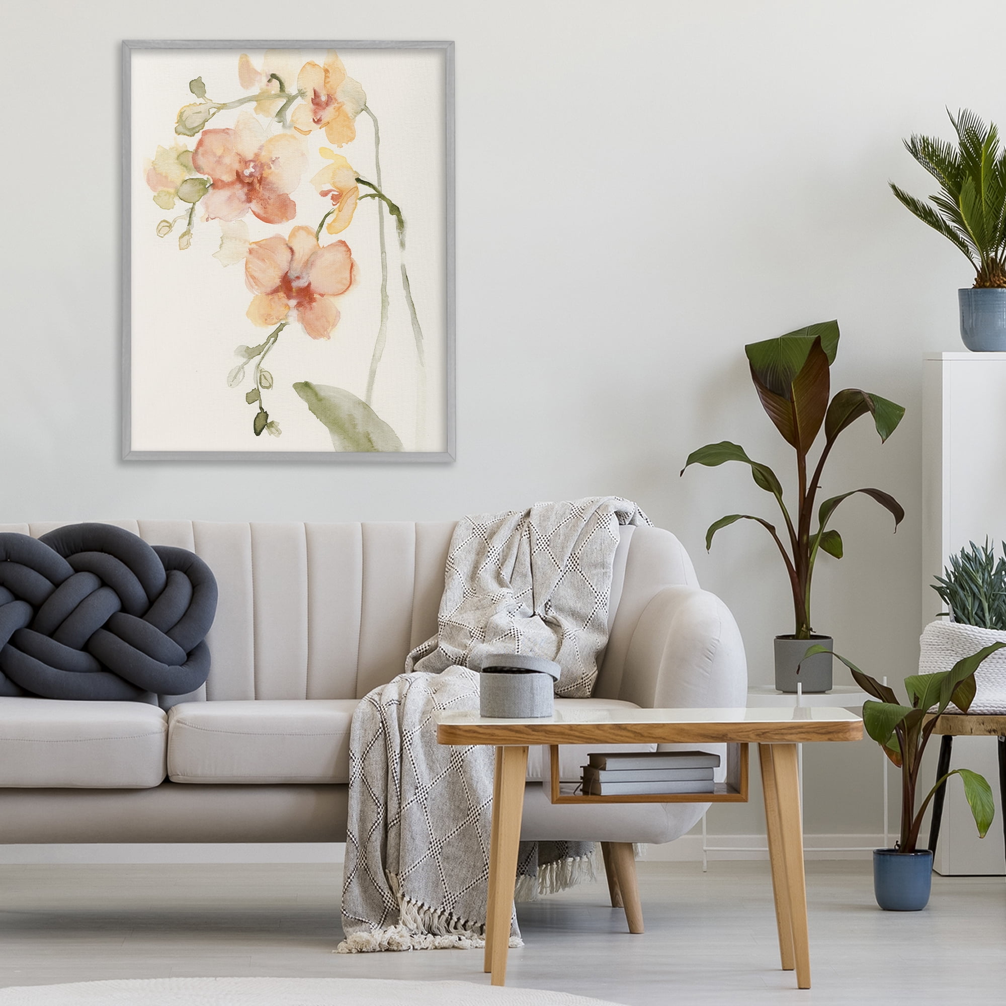 Stupell Industries Peach Orchid in Bloom Gray Framed Giclee Art, design by Victoria Barnes