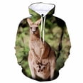 thumbnail image 2 of Ropa de anime con estampado de canguro para niños y niñas, chaqueta para hombre y mujer, sudaderas con cremallera, ropa de calle, sudaderas con capucha de gran tamaño para otoño para niños, 2 of 5