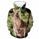 thumbnail image 2 of Ropa de anime con estampado de canguro para niños y niñas, chaqueta para hombre y mujer, sudaderas con cremallera, ropa de calle, sudaderas con capucha de gran tamaño para otoño para niños, 2 of 5
