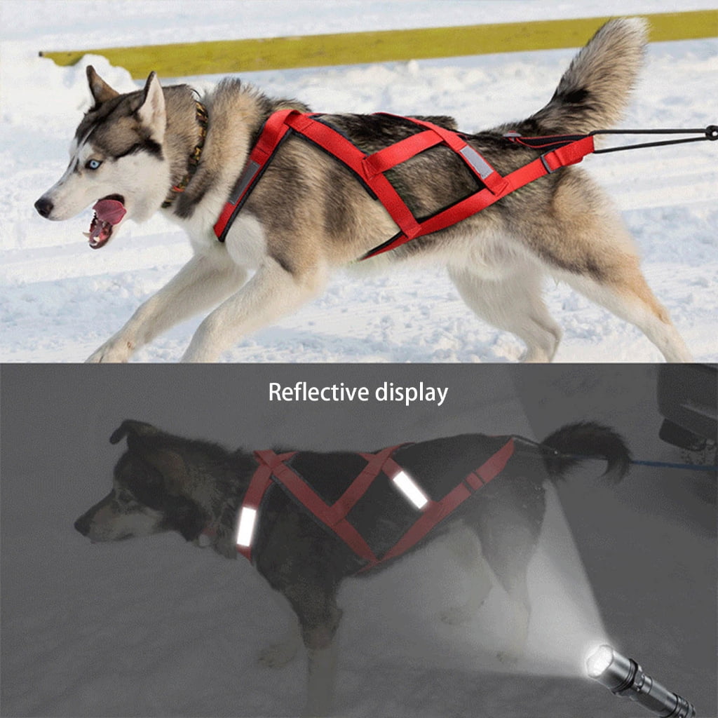 WINDLAND Dog Harness for Outdoor Sports and Adventures Use Skiing Running Pet Harnesses