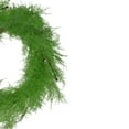 thumbnail image 4 of Northlight Plastic Decorated Pine Wreath, 24" (Green), 4 of 5