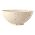 thumbnail image 2 of 16-Piece Stoneware Dinnerware Set – Service for 4, Multicolor with Unique Flecked Design, Perfect for Everyday Dining & Entertainment, Microwave & Dishwasher Safe Rustic Mix 16-Piece Set, 2 of 8