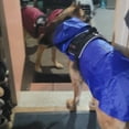 thumbnail image 4 of Dog Raincoat Lightweight Waterproof Large Pet Dog Rain Jackets with Hood Reflective Strip Safety for Dog, 4 of 9