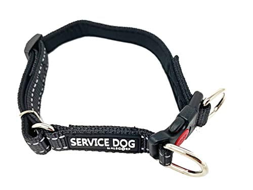 Service dog collar walmart Outlet