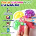 thumbnail image 2 of Sensory Toys LESONG Color Sorting, paquete de 4 unidades para niños pequeños de más de 3 años, 2 of 7
