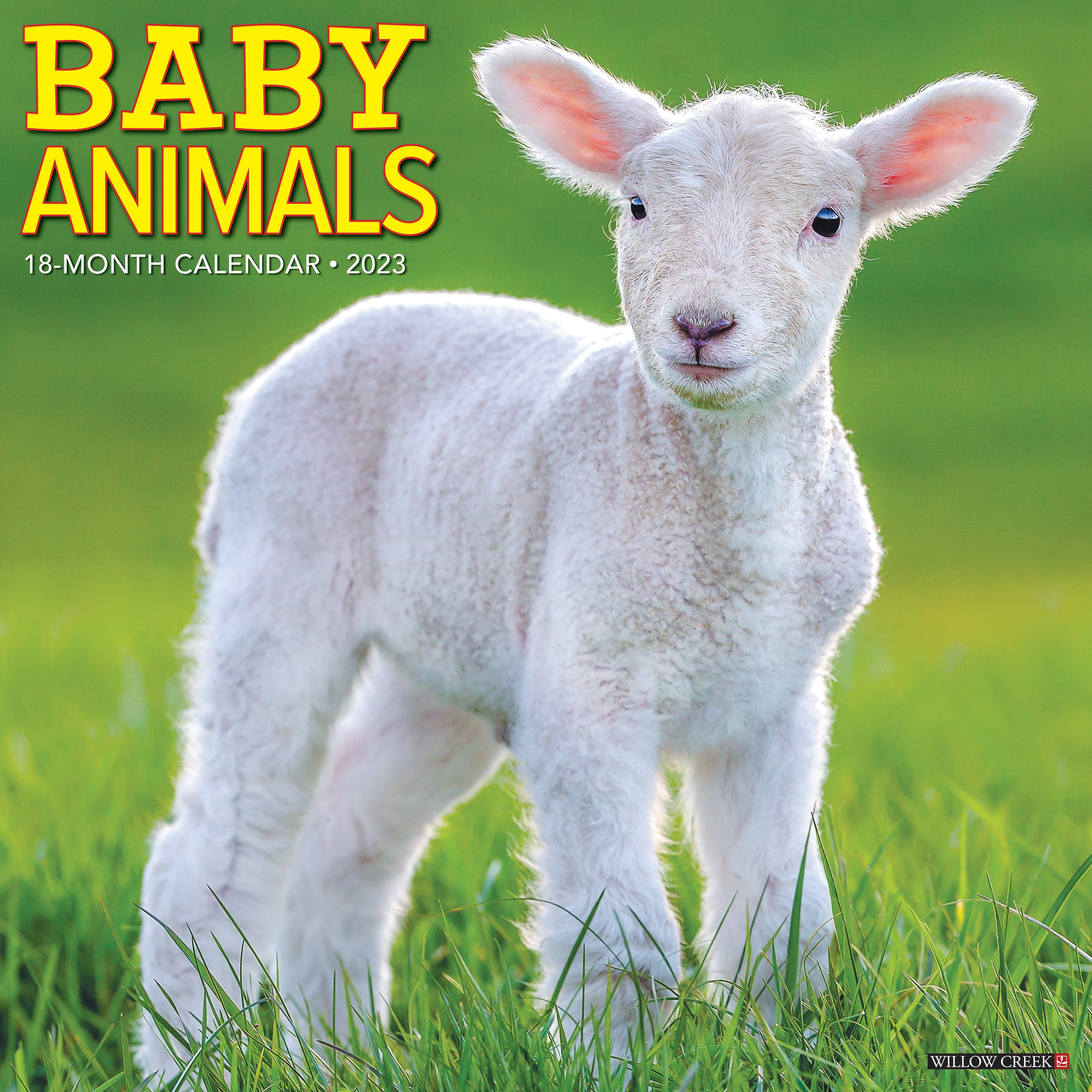 Baby Animals 2023 Wall Calendar
