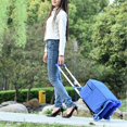 thumbnail image 4 of LHWEN Folding Luggage Cart Lightweight Aluminum Portable Travel Cart 110 Lbs Capacity Foldable Trolley for School Moving, 4 of 6
