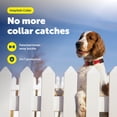 thumbnail image 3 of PetSafe KeepSafe Break-Away Collar  1 in Wide, Large, Red  Prevent Collar Accidents for your Dog or Puppy  Improve Safety, Compatible with Leash Use, Adjustable Sizes, 3 of 8