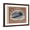 Brown Frame, variant on Art.com 24-Cent U.S. Postage Stamp with an Inverted Jenny Art Print, Black Frame Wall Art, 29" x 23"