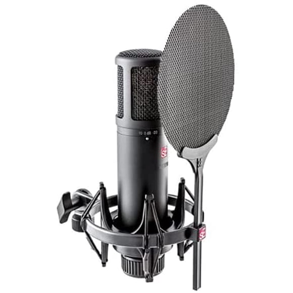Microfono Condensador sE  SE2200 de Diafragma Largo -Gris