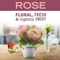 thumbnail image 4 of Mrs. Meyer's Spring Scent Room Freshener Variety, 1 Rose, 1 Lilac, 1 Mint, 8 oz each, 1 CT, 4 of 7