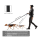 thumbnail image 3 of Correa Seguridad Mascotas Lab,G,  Negro, 3 of 5