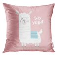 thumbnail image 1 of EREHome Cartoon Cute Alpaca Llama Peru Abstract America Pillow Case 16x16 Inches Pillowcase, 1 of 1