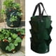 thumbnail image 3 of Bolsas de cultivo de papas de 3 galones para interior y exterior, maceta para plantar fresas y vegetales Verde, 3 of 9