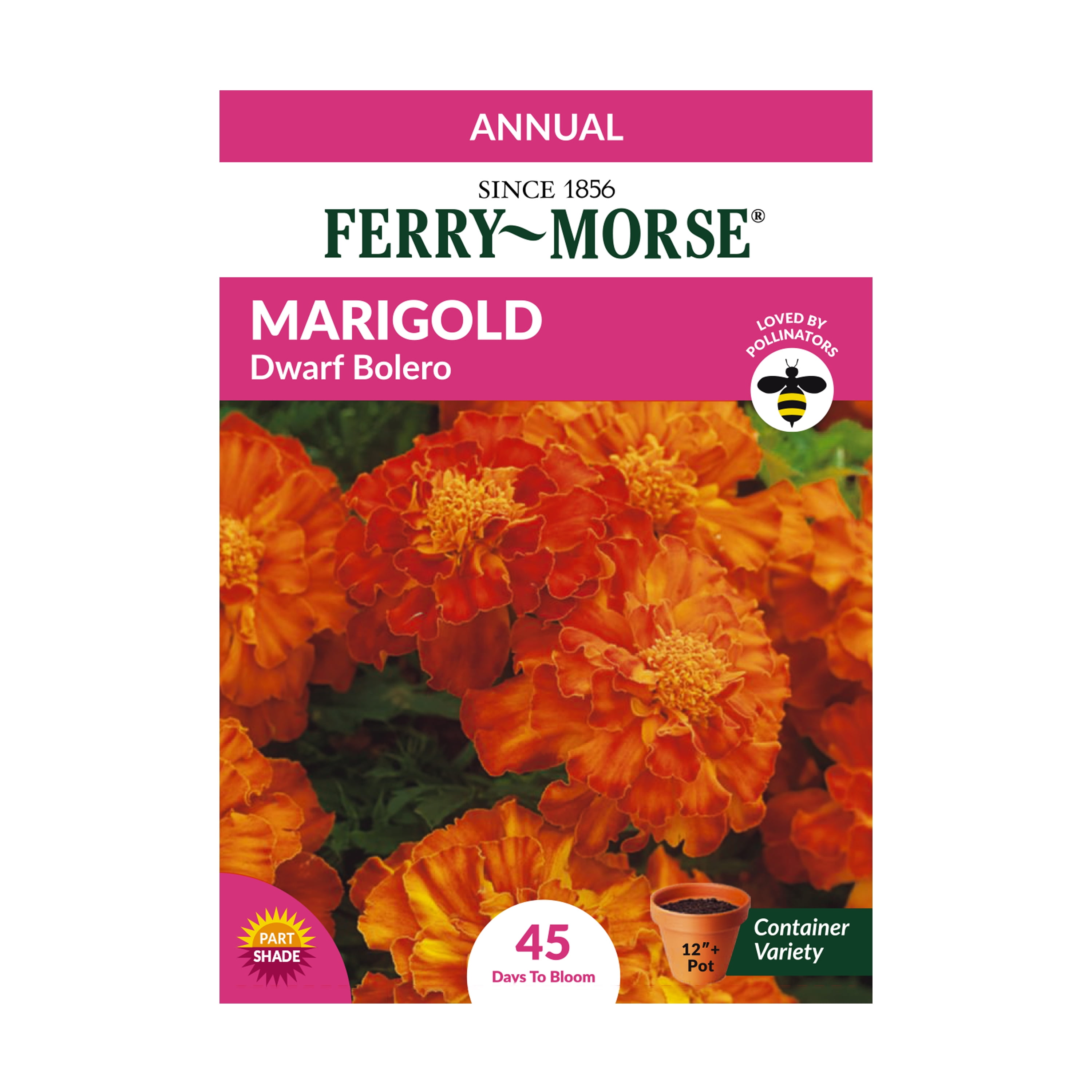 Ferry-Morse Marigold Bolero Dwarf Plant Seeds (1 Pack) - Seed Gardening ...