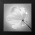 thumbnail image 2 of Frank, Assaf 12x12 Black Modern Framed Museum Art Print Titled - Tulip flower, close-up, 2 of 5