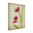 thumbnail image 2 of Trademark Fine Art 'Parchment Flowers III' Canvas Art by Judy Stalus, 2 of 4