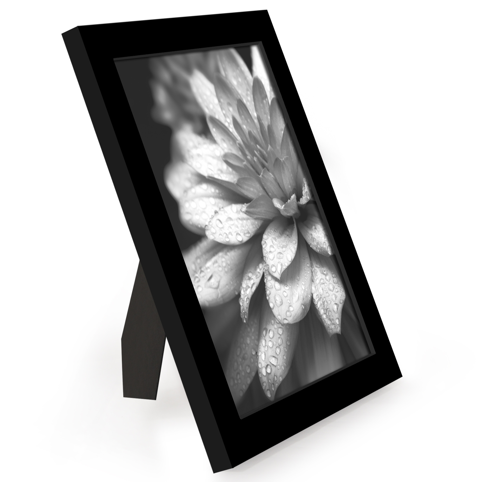 Americanflat 6x8 Picture Frame with Polished Plexiglass 12 Pack Signature Collection Frames Photo - Black