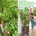 thumbnail image 5 of Halatool 2 Pack Green Tomato Cages, Up to 63in(5.2FT) Adjustable Tall Tomato Plant Support, Garden Stakes Tomato Trellis for Pots & Vegetables Flowers, 5 of 7