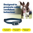 thumbnail image 3 of Collar de adiestramiento remoto PetSafe de 100 yardas para perros pequeños, 3 of 7