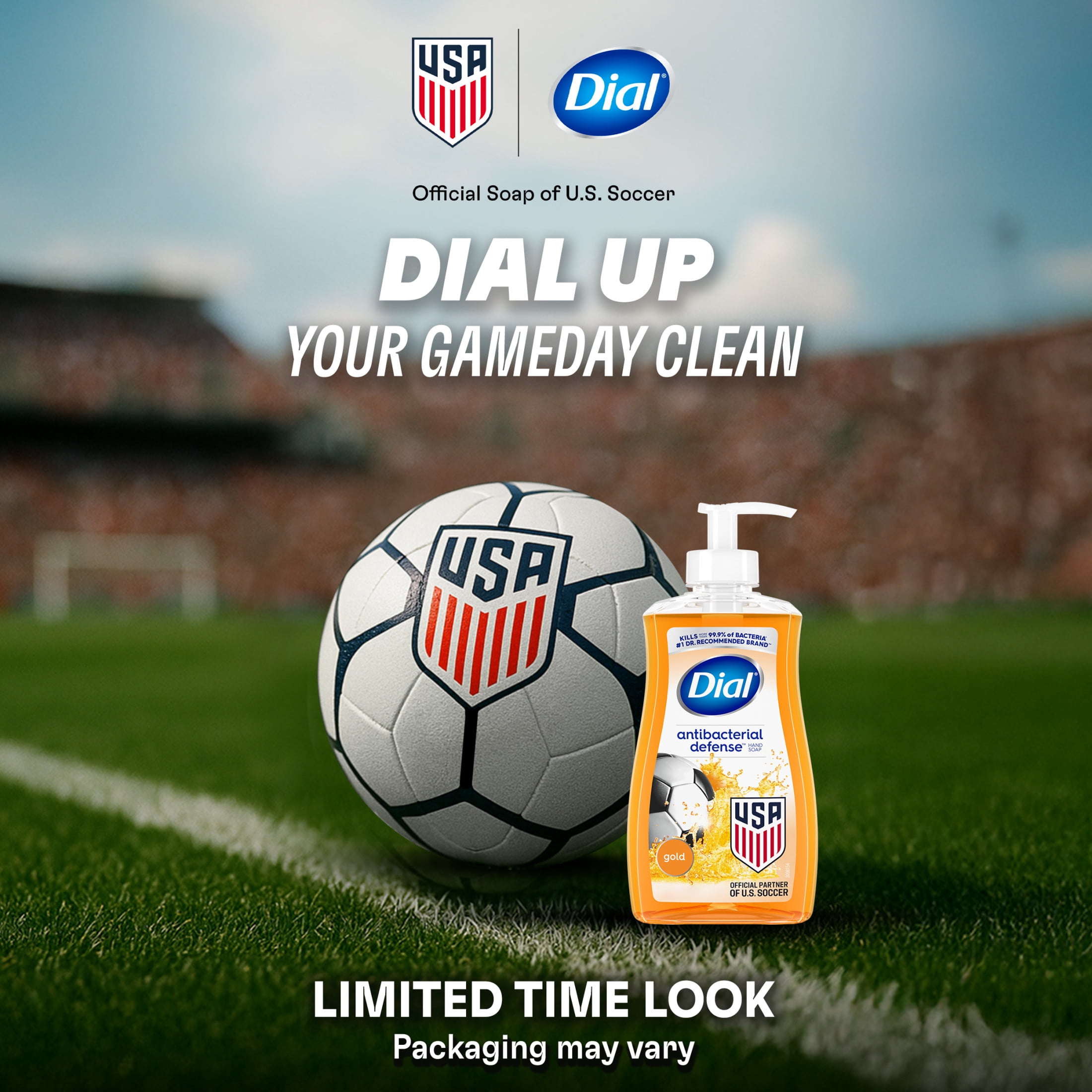 Dial Antibacterial Defense Gold Liquid Hand Soap, 11 fl oz
