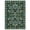 Green, variant on Geetinfly 8 x 10 ft Pink Indoor Farmhouse Soft Non Slip Floral Butterflies Print Machine Washable Area Rug for Bedroom Living Room Dining Room
