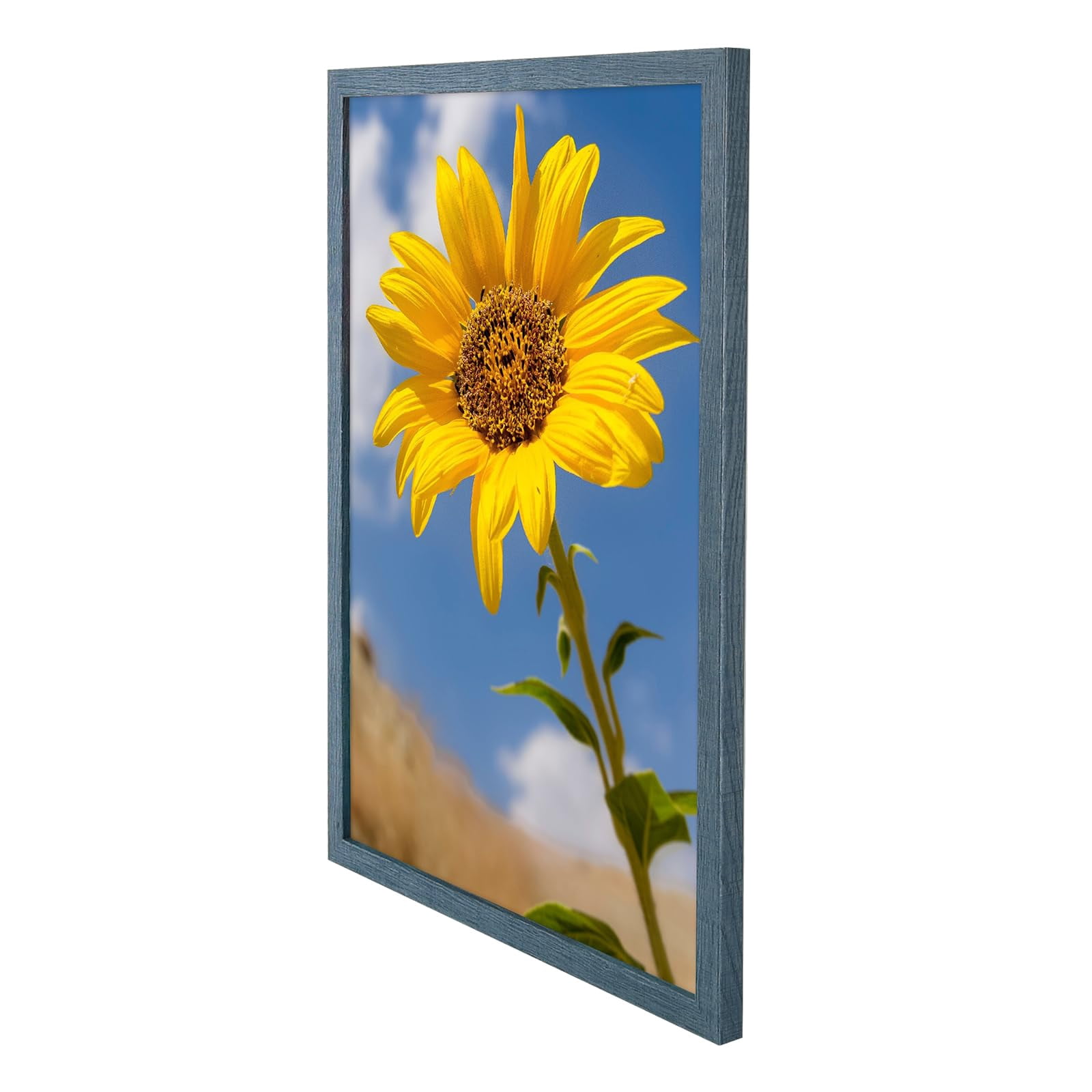 Golden State Art A2 16.5x23.4 Inch Wall Picture Frames with Plexiglass, Blue, Set of 2