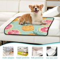 thumbnail image 6 of Qxltty Pineapple Blood Orange Cat litter Pads Pet Set of 2 Diaper Mats Center Anti-leakage Layer Absorbent Soft and Comfortable, 6 of 7