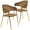 Brown Velvet, variant on LeisureMod Dining Chair Upholstered Leather Armchair Velvet Accent Ergonomic Padded Seat and Back Durable Stainless Steel Base for Home, Kitchen, Living Room Bella Series in Brown Set of 2