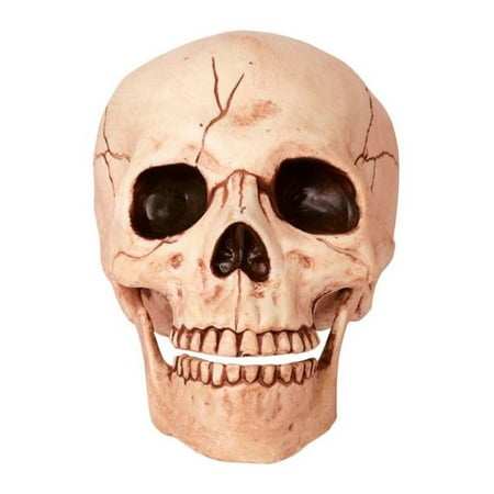 18781 Halloween Skull with Movable Jaw - pack of 6